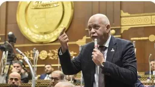 النائب حازم الجندي: مشاركة مصر في مجلس السلام تؤكد دورها المحوري