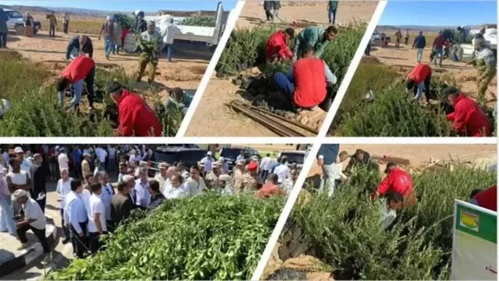 معلومات الوزراء: 588.1 مليون دولار القيمة السوقية للتصوير الفضائى للزراعة عالميا