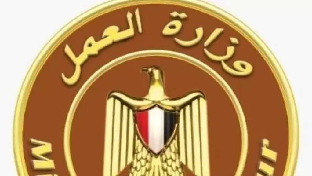 العمل: إنذار 1181 منشأة لتصحيح الأوضاع.. وتحرير 441 محضرًا لمخالفة القانون