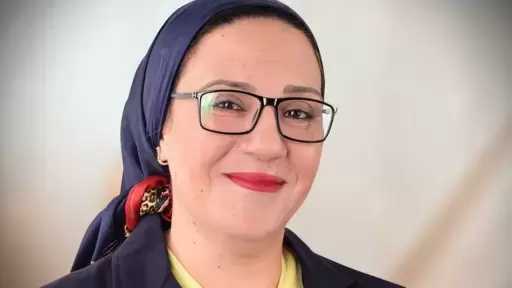 داليا الأتربي: مؤسسات الدولة قادرة على التعامل مع التحديات الإقليمية بكفاءة واقتدار