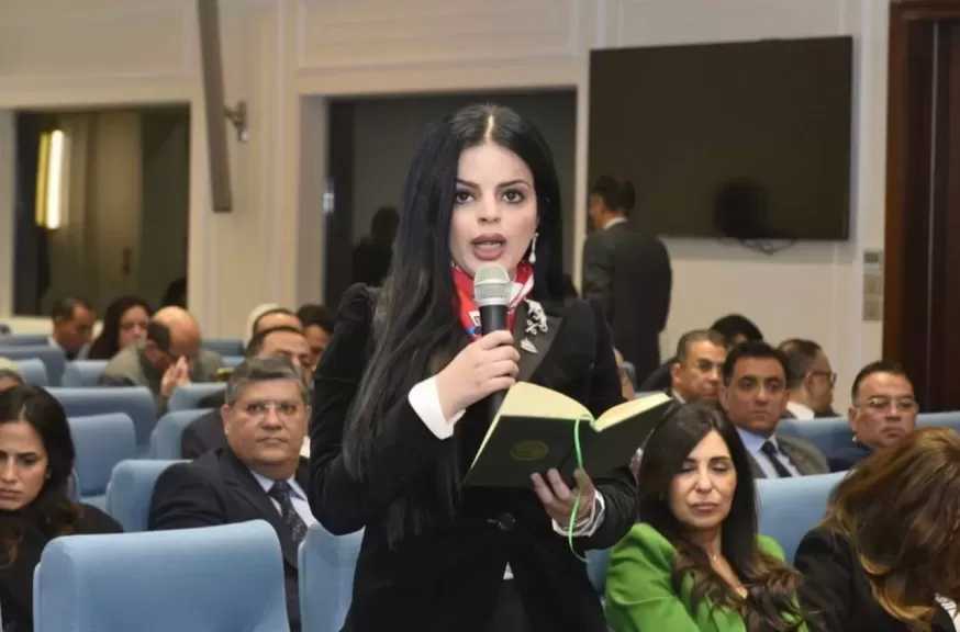 خلال اجتماع ”اتصالات النواب”.. النائبة زينب بشير تقترح إنشاء مجلس أعلى للذكاء الاصطناعي