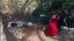 أمن البحيرة يكشف تفاصيل فيديو لشخص يضرب سيدة بشومة ويلقيها في ترعة: أشقاء وخلافهما بسبب الميراث