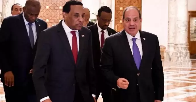 السيسي يستقبل كامل إدريس ويؤكد دعم مصر لاستقرار السودان وتعزيز التنسيق المشترك في ملف المياه والقضايا الإقليمية