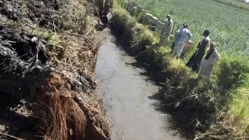 ”الزراعة” تكثف أعمال تطهير المساقي بمحافظة الأقصر تزامناً مع موسم كسر القصب