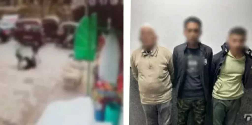 ضبط المتهمين بالاعتداء على شخص بسلاح أبيض وعصا خشبية بالدقهلية