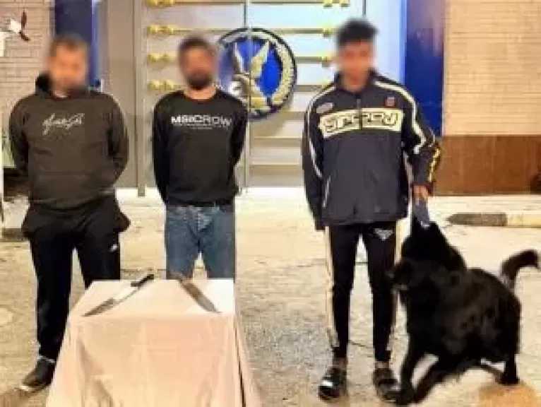 كشف ملابسات فيديو مشاجرة بالأسلحة البيضاء في المنوفية