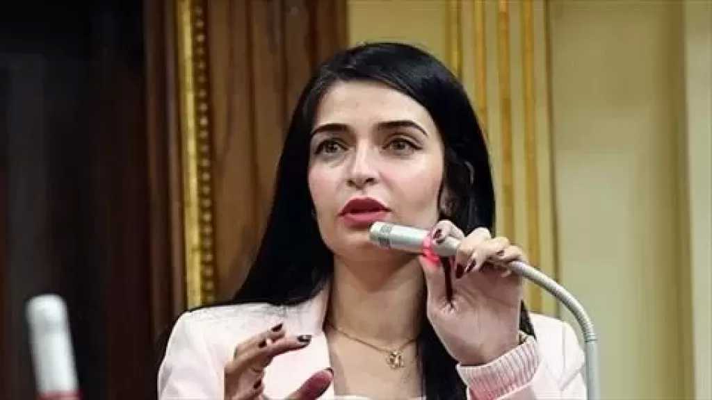 النائبة إيرين سعيد ترفض 4 اتفاقيات: لا مزيد من الأعباء على المصريين