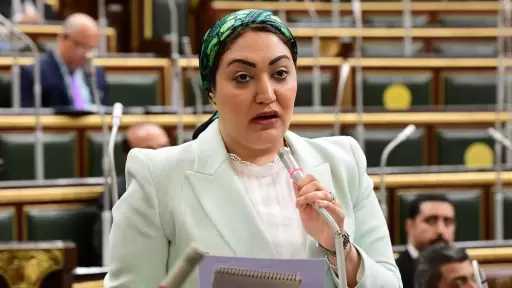 النائبة أسماء الجمال تتقدم باقتراح برغبة لميكنة خدمات الأحياء ومجالس المدن