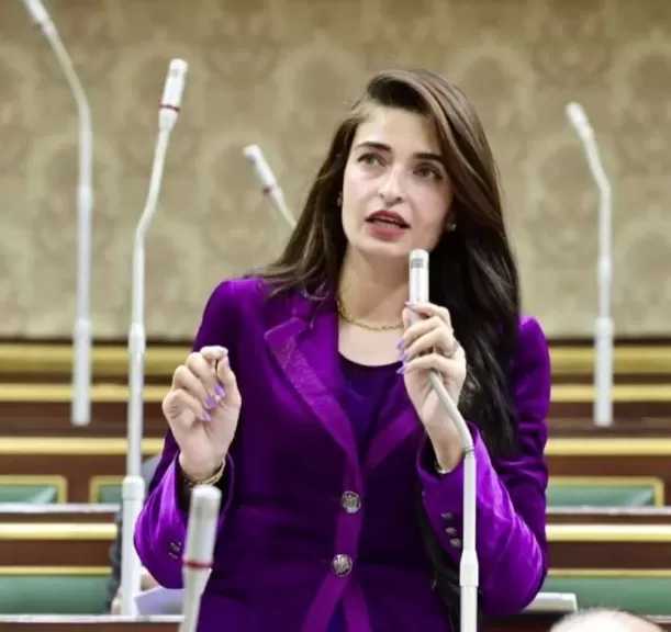 النائبة إيرين سعيد تطالب بسرعة مناقشة أزمة التكليف في مجلس النواب