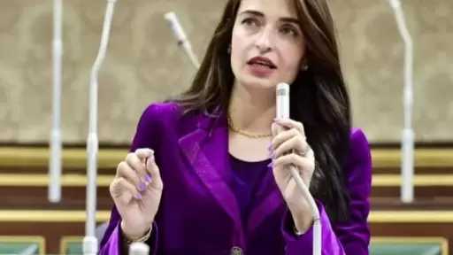 النائبة إيرين سعيد تطالب بسرعة مناقشة أزمة التكليف في مجلس النواب