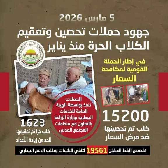 جهود حملات تحصين كلاب الشوارع منذ يناير.. انفوجراف