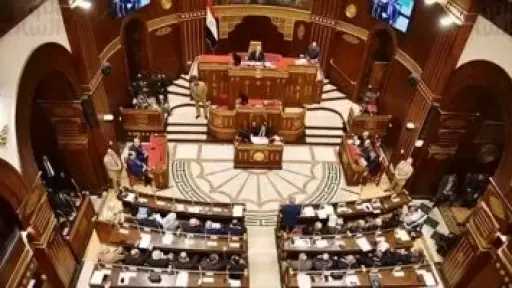 النائبة ولاء هرماس: مشروع نادي الذكاء الاصطناعي خطوة لاكتشاف المواهب