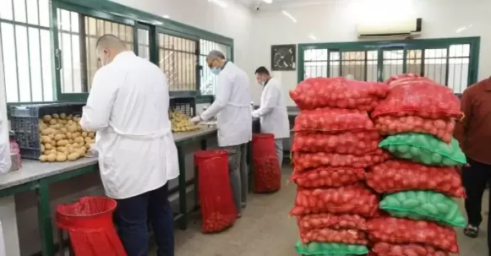 بإجمالي 411 ألف طن.. الزراعة: فحص 290 ألف طن بطاطس مُعدة للتصدير خلال فبراير