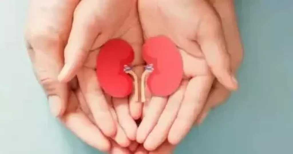 أضرار تناول البروتين على مريض الكلى