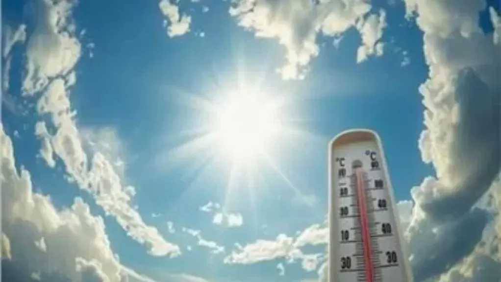 طقس الاثنين: شبورة كثيفة تسيطر على طرق القاهرة والأقاليم.. وتحذير من اضطراب البحر الأحمر