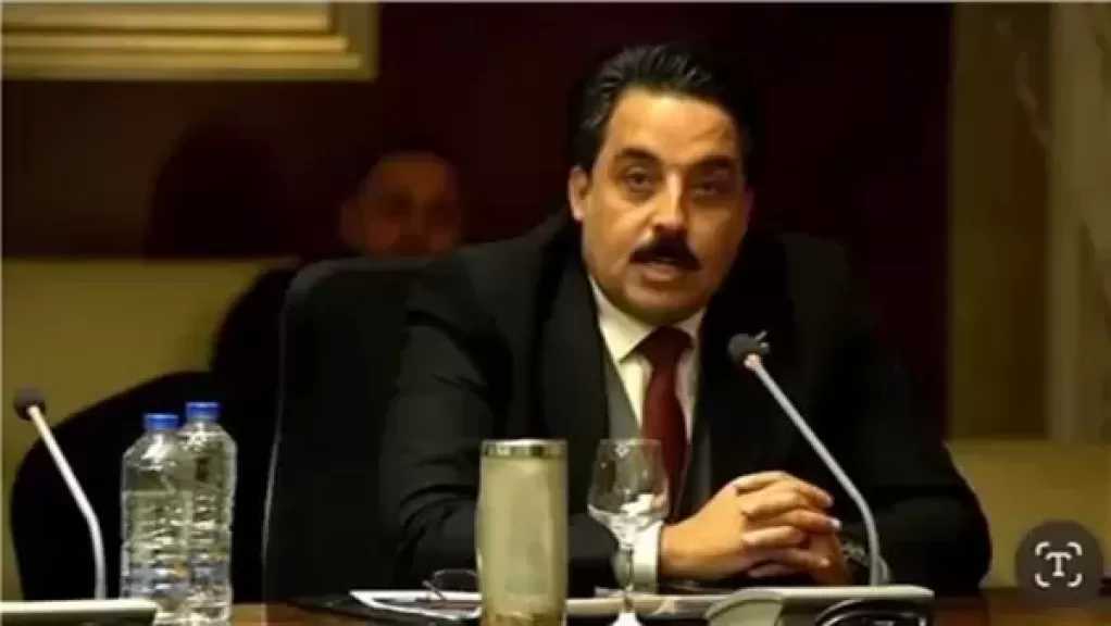 قيادي بحزب الجيل: توجيهات الرئيس السيسي بتذليل عقبات الاستثمار ضوء أخضر يفتح أبواب الاستثمار الأجنبي