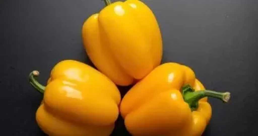 الفلفل الألوان يعزز مناعتك ويرطب عليك فى الصيام