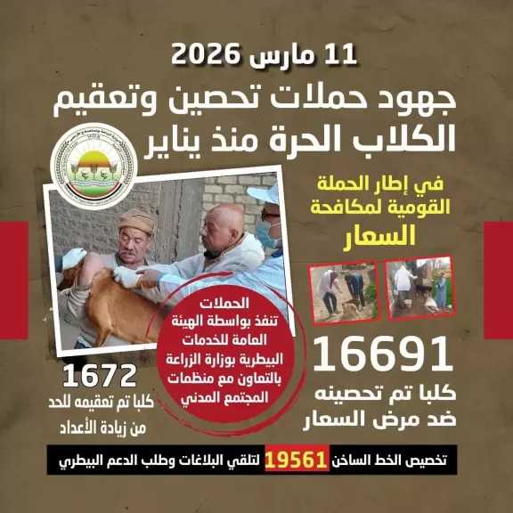 انفوجراف.. استمرار الحملة القومية لمكافحة السعار والسيطرة على أعداد الكلاب الحرة