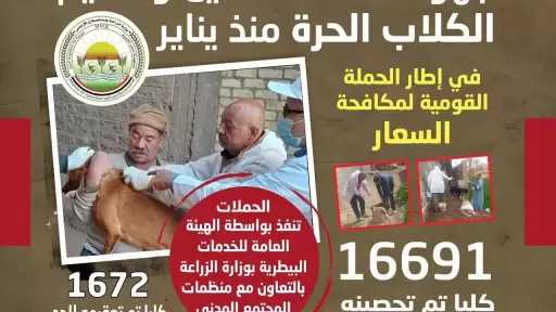 انفوجراف.. استمرار الحملة القومية لمكافحة السعار والسيطرة على أعداد الكلاب الحرة