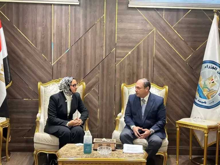 رئيس هيئة تنمية الصعيد يستقبل محافظ الوادي الجديد لبحث تعزيز التعاون ودعم المشروعات التنموية بالمحافظة