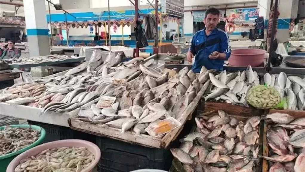 أسعار الأسماك في أسواق الإسكندرية اليوم