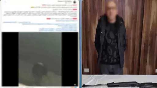 القبض على شخص أطلق أعيرة الرش على الكلاب الضالة في القاهرة