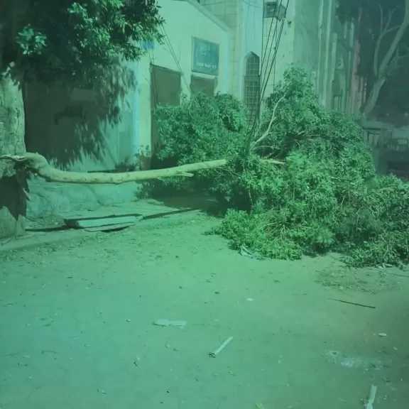 أسيوط تعلن حالة الطوارئ بجميع القطاعات لمواجهة سوء الأحوال الجوية