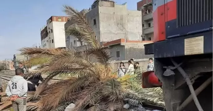 عودة حركة القطارات بالإسكندرية بعد توقف مؤقت لسقوط نخلة على القضبان