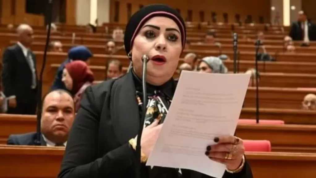 برلمانية : كلمة الرئيس السيسي في إفطار الأسرة المصرية تعكس رؤية واضحة لدعم الاستقرار الإقليمي