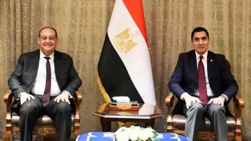 وزير الشباب والرياضة يستقبل مساعد وزير الخارجية للعلاقات الثقافية لبحث سبل التعاون