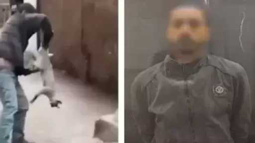 الأمن يضبط المعتدي على قطة في شبرا الخيمة