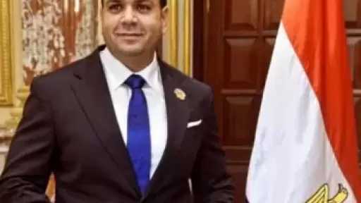 برلماني: زيارة الرئيس السيسي للسعودية والبحرين تأكيد راسخ على وحدة الصف العربي في مواجهة التحديات