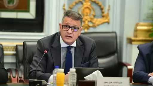 برلماني: جولة الرئيس السيسي الخليجية أكدت أن أمن الخليج جزء لا يتجزأ من الأمن القومي المصري