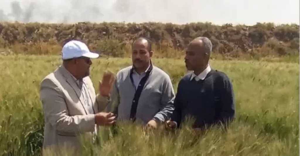 ”الزراعة” تتابع البرامج البحثية والحقول الإرشادية بمحطة بحوث كوم أمبو بأسوان| صور