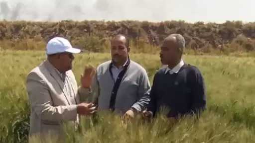 ”الزراعة” تتابع البرامج البحثية والحقول الإرشادية بمحطة بحوث كوم أمبو بأسوان| صور