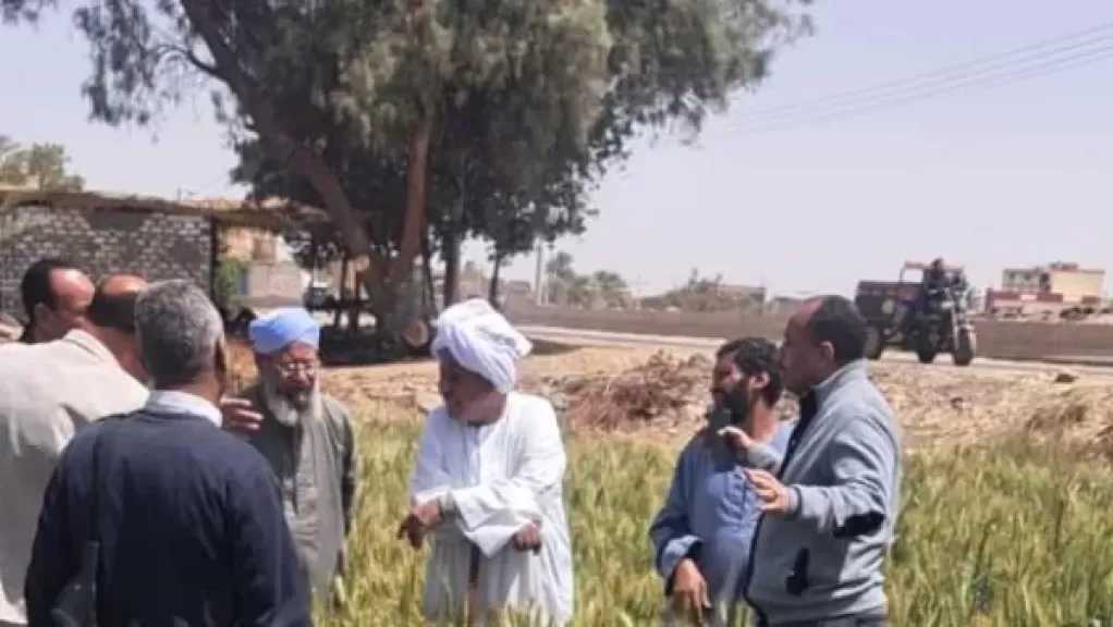 الزراعة: نستهدف تعظيم القيمة المضافة لـ الذهب الأبيض