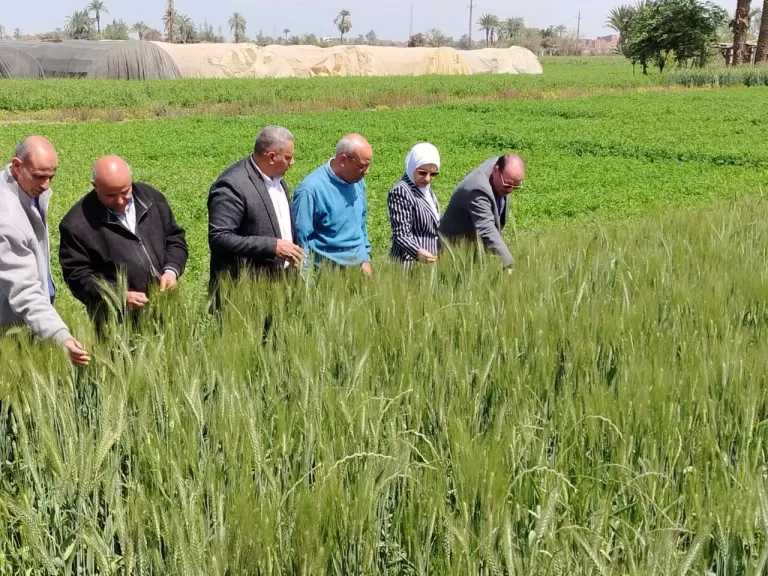 ”الزراعة” تواصل جولاتها الميدانية وتتابع انتظام صرف الأسمدة ببني سويف