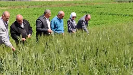 ”الزراعة” تواصل جولاتها الميدانية وتتابع انتظام صرف الأسمدة ببني سويف