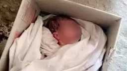 العثور على طفل حديث الولادة ملقى وسط القمامة خلف موقف أبشواي في الفيوم