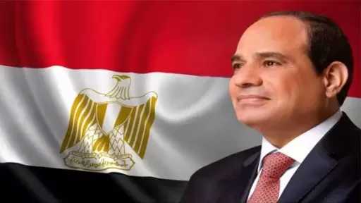 برلماني: جولات الرئيس السيسي الخليجية تعزز تماسك الصف العربي.. ومصر تتحرك لحماية أمن المنطقة