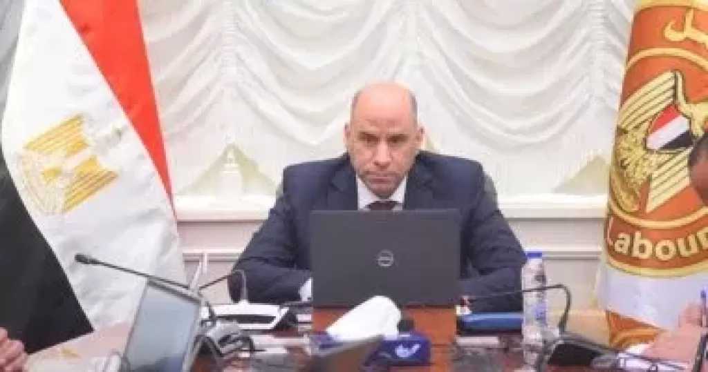 وزير العمل يصدر 3 قرارات هامة.. منها منح إجازات إضافية وضوابط تشغيل الأطفال