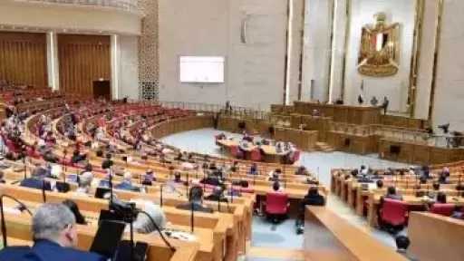 برلمانى: القاهرة تتحرك بثبات للحفاظ على توازن المنطقة وحماية مقدرات شعوبها