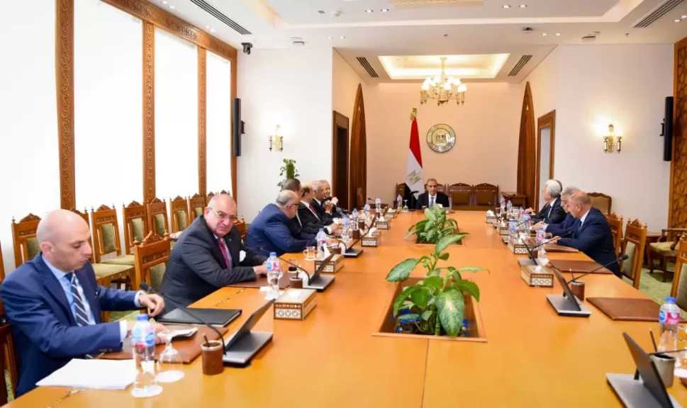 وزير الخارجية يبحث محددات الموقف المصري من التطورات الإقليمية