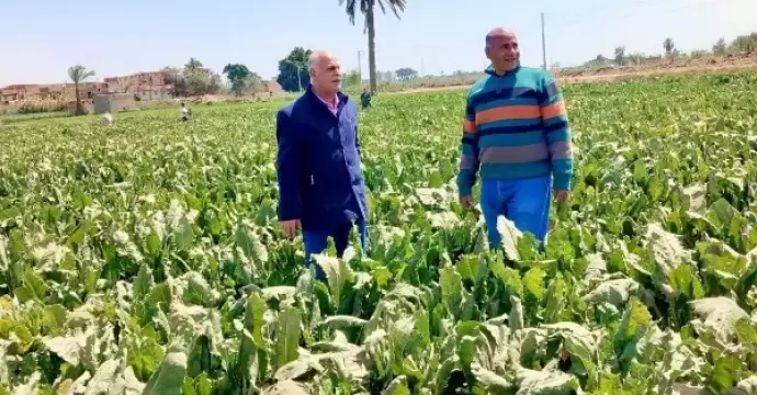 الزراعة: اتخاذ إجراءات حاسمة تجاه أي مخالفات يتم رصدها