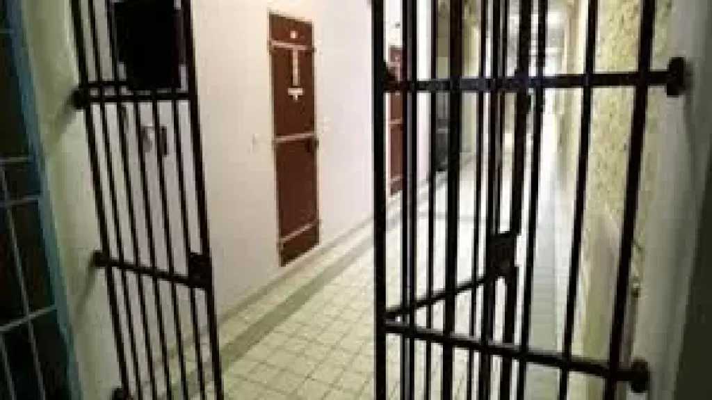 إخلاء سبيل المتهمة بالتعدي على زوجها في الشرقية
