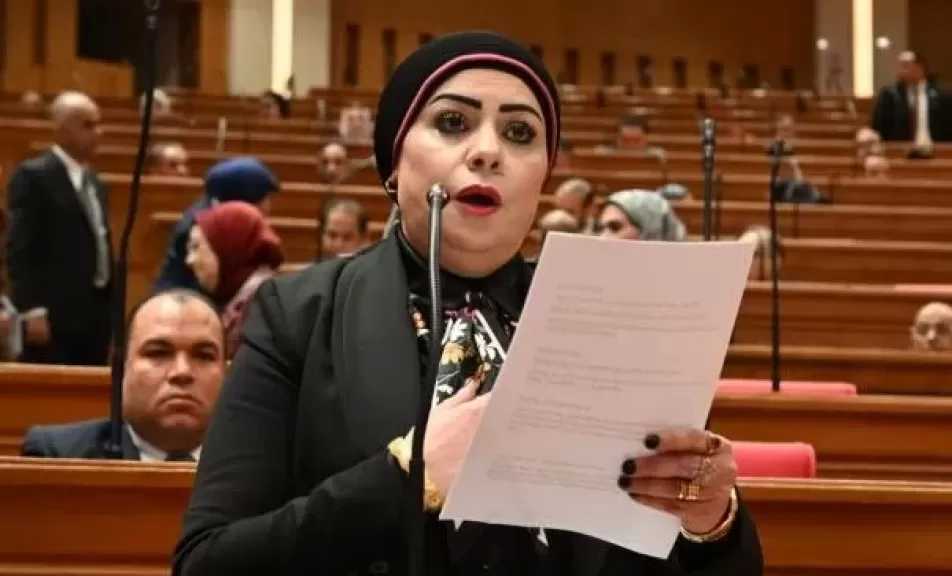 النائبة جيهان شاهين: البيان المشترك لمجلسي النواب والشيوخ يعكس موقف مصر الحازم تجاه الأشقاء