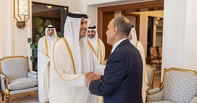 وزير الخارجية يؤكد تضامن ووقوف مصر الكامل مع قطر وسائر الدول الخليجية في هذا الظرف الدقيق