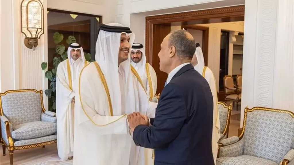 وزير الخارجية يؤكد تضامن ووقوف مصر الكامل مع قطر وسائر الدول الخليجية في هذا الظرف الدقيق
