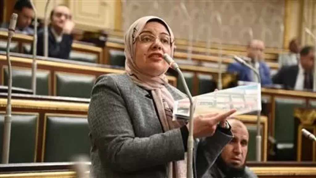 النائبة ريهام عبد النبي تتقدم ببيان عاجل: السياسة الاقتصادية أدت لموجة غلاء غير مسبوقة