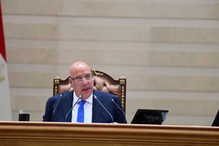 رئيس مجلس النواب: نقف صفا واحدا مع القيادة السياسية